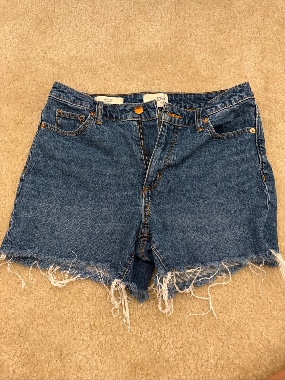 Women's Blue Denim Cutoff Shorts